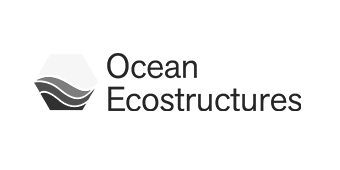 13-ocean